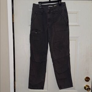 Anthropologie Charcoal The Wanderer Cargo Pants